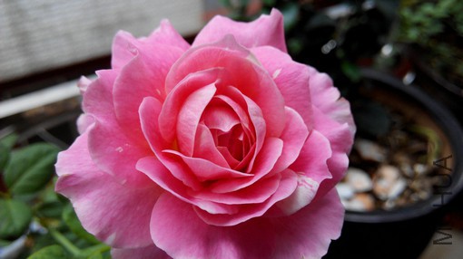 ����Ī�� (4).jpg