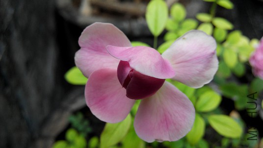 ���� (4).jpg