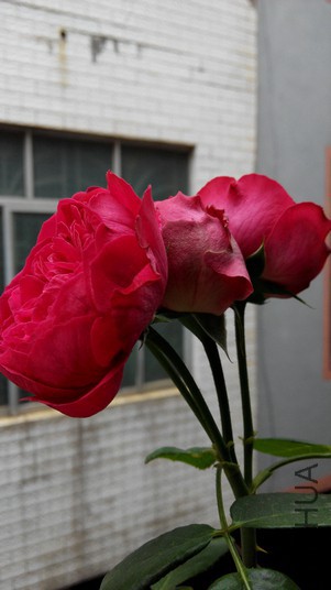 ���� (8).jpg