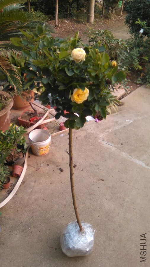 QQͼƬ20150925203117.jpg