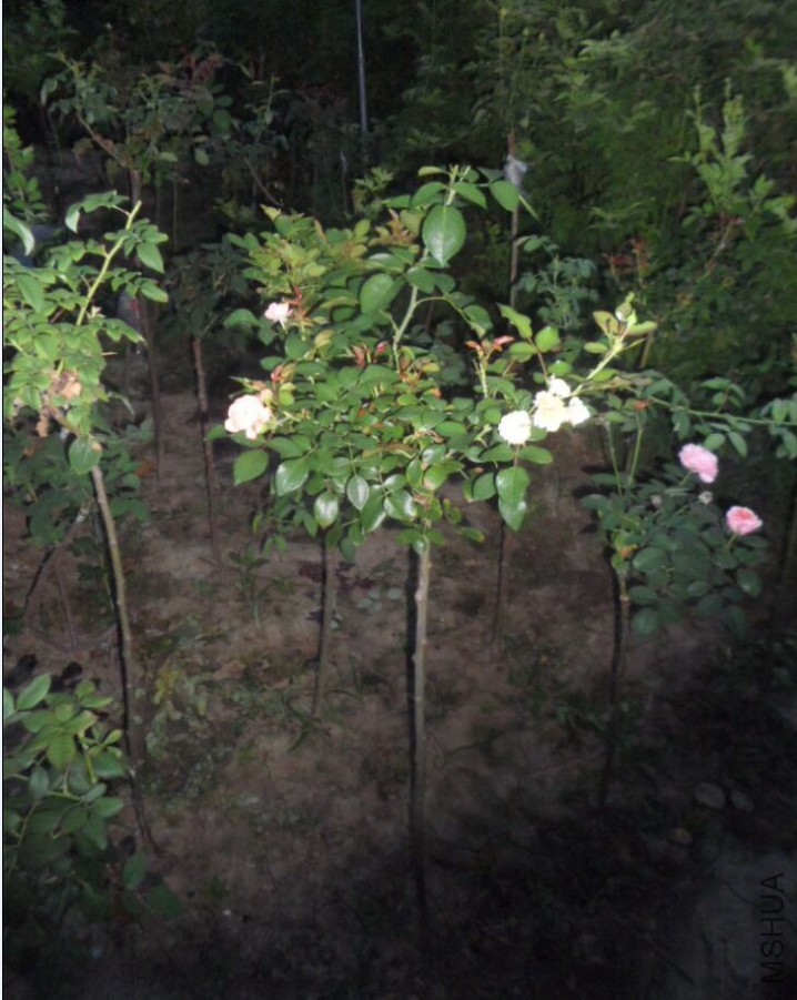 QQͼƬ20150925203130.jpg
