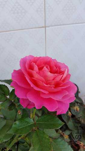20150924_094016.jpg