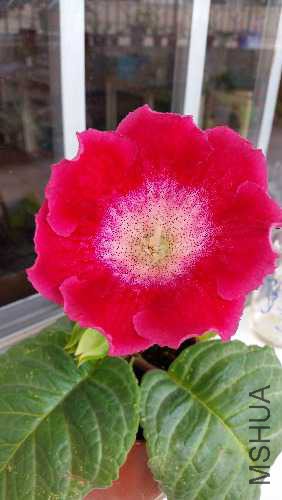 20150923_143621.jpg
