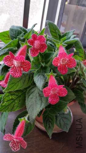 20150922_090407.jpg