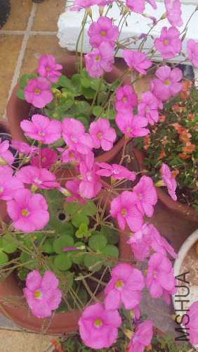20150918_131145.jpg