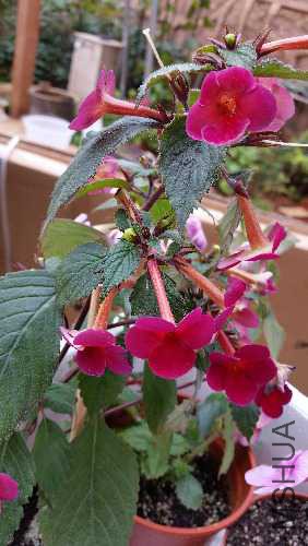 20150917_130729.jpg