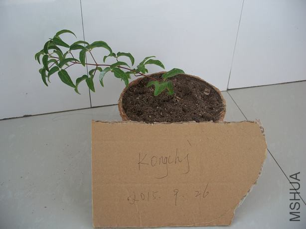 100_5800.JPG