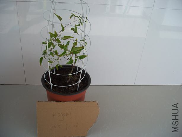 100_5799.JPG
