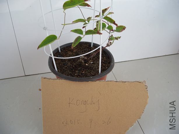 100_5801.JPG