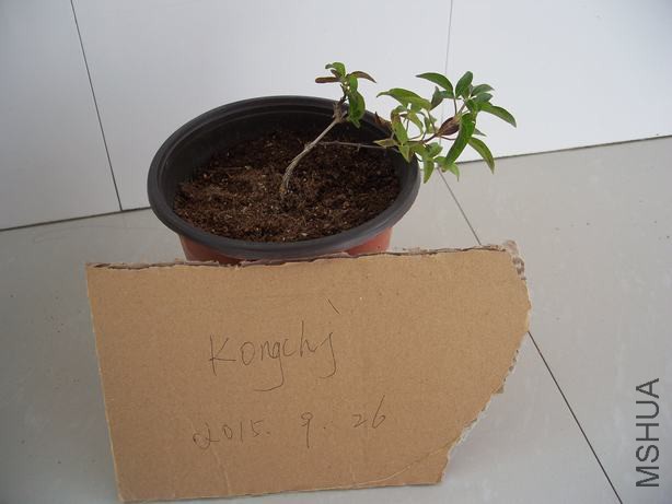 100_5804.JPG