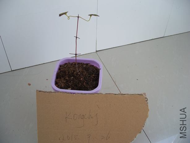 100_5806.JPG