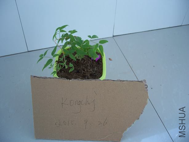100_5807.JPG