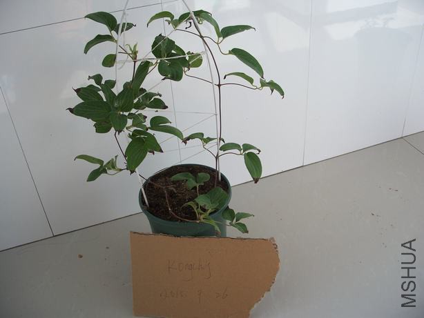 100_5805.JPG