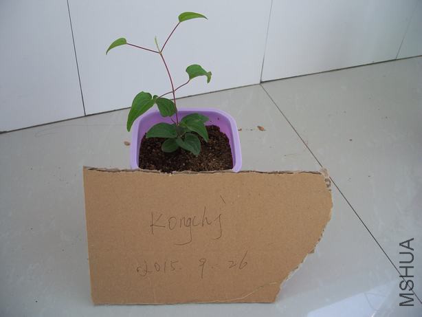 100_5809.JPG
