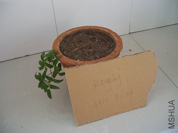100_5811.JPG