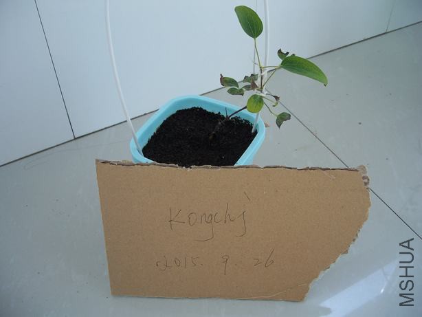 100_5810.JPG
