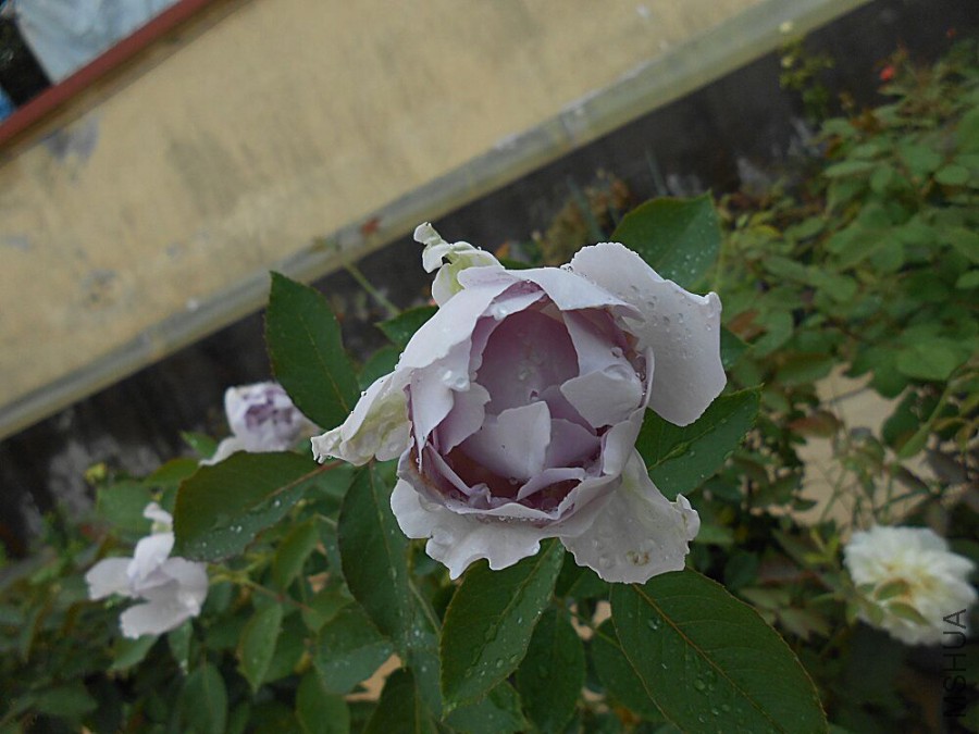 QQͼƬ20150907102653.jpg