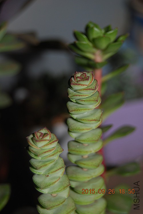 Ǯ��.jpg