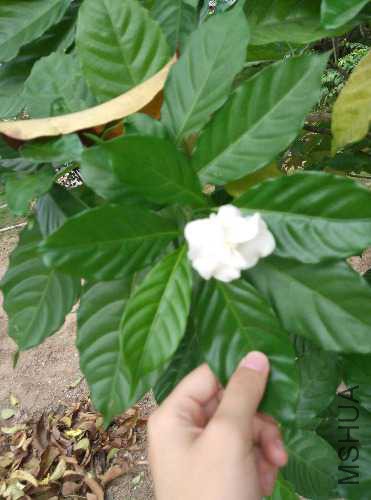 IMG_20150916_130317.jpg