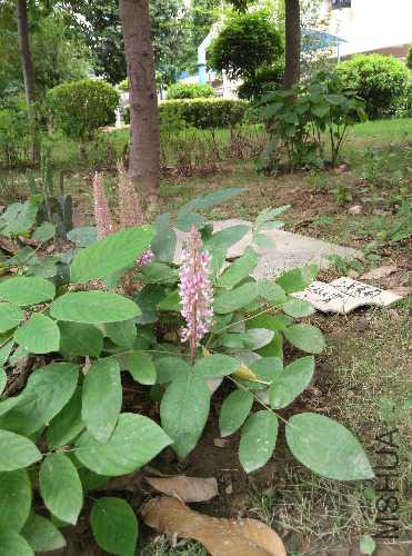 IMG_20150916_130201.jpg