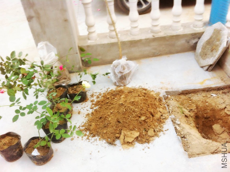 IMG_3652 ����.jpg