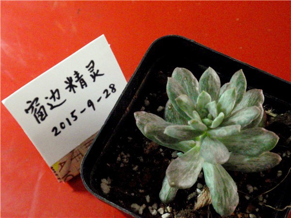 P9280016.JPG