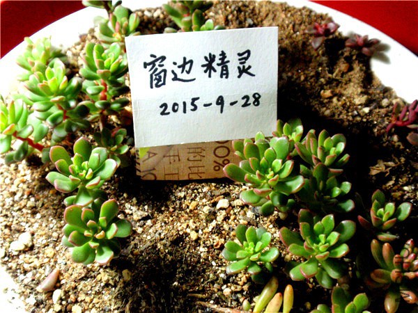P9280029.JPG