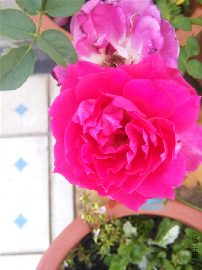 IMG_20150929_172352.jpg