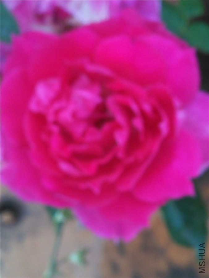 IMG_20150929_173318.jpg