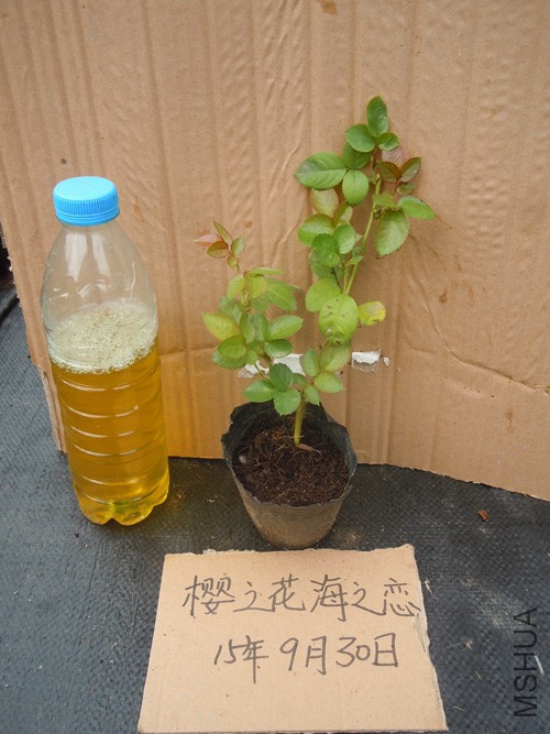 �¼�jpg66.jpg