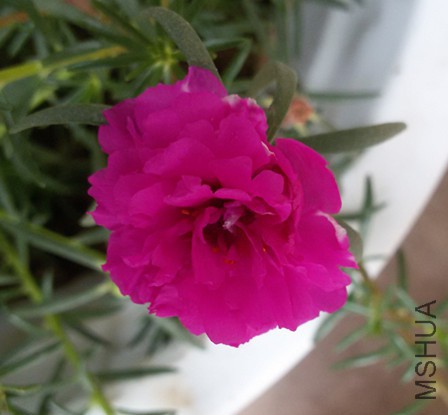 20150825_130612_����.jpg