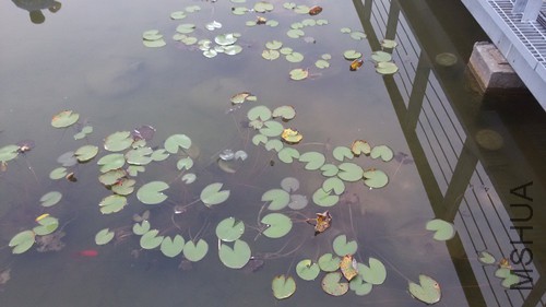 20150916_182028_����.jpg