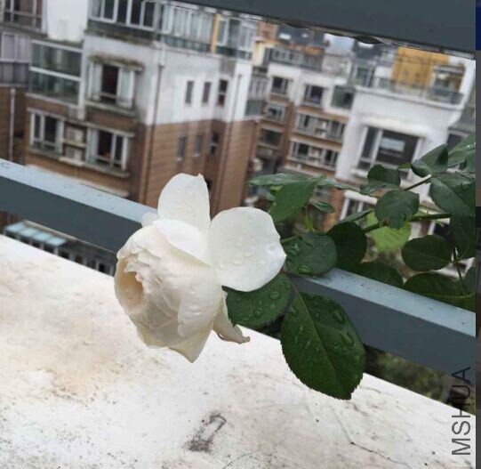 QQͼƬ20150930165909.jpg