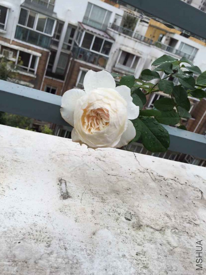 QQͼƬ20150930170409.jpg