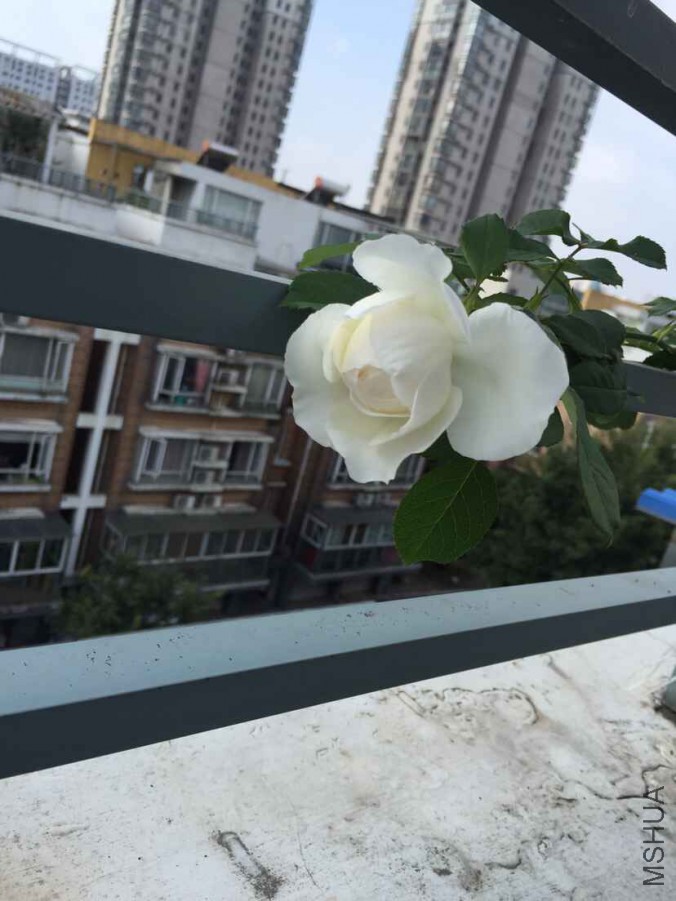 QQͼƬ20150930170502.jpg