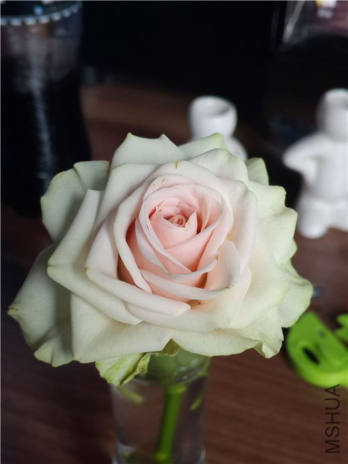 ����10�����ҵ�������������գ�