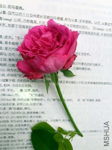 k 002.jpg