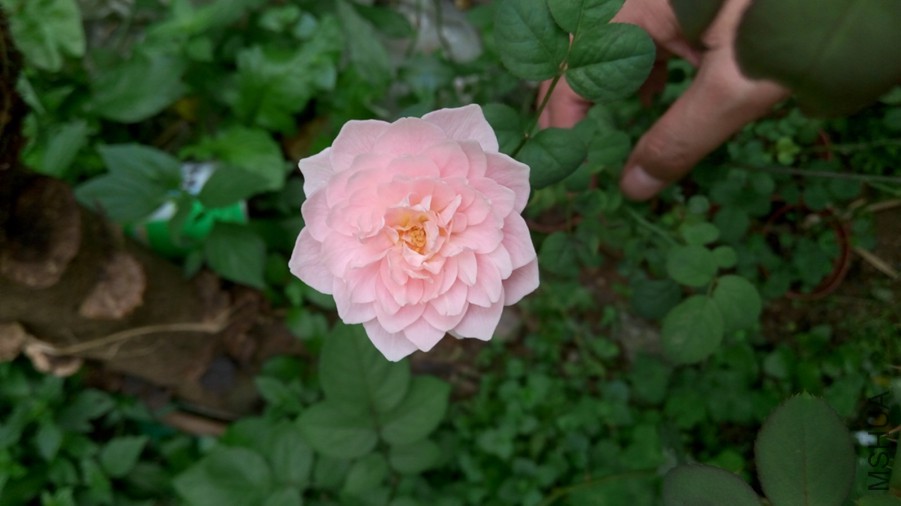 P50930-101657.jpg
