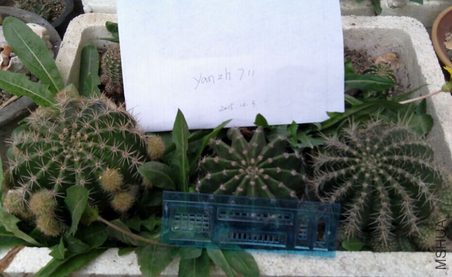QQͼƬ20151003154725.jpg