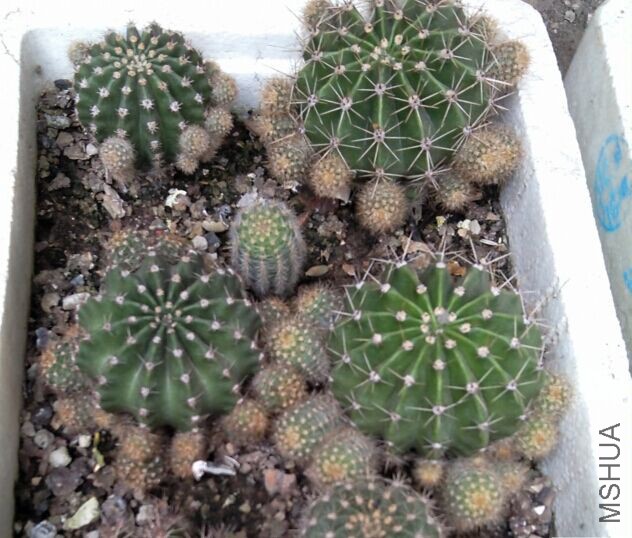 QQͼƬ20151003154832.jpg