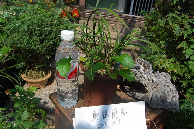 DSC_57070145.JPG
