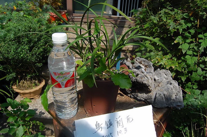 DSC_57140152.JPG