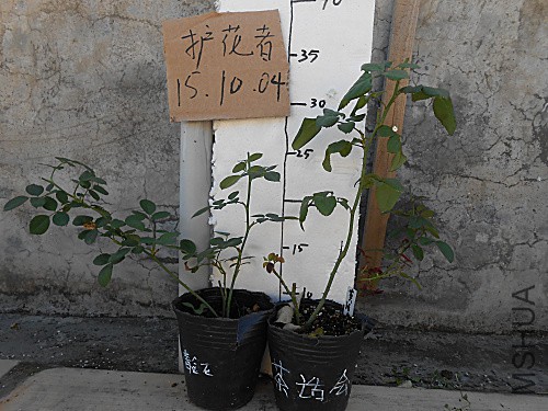 DSCN3326.jpg