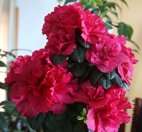 IMG_3828.JPG