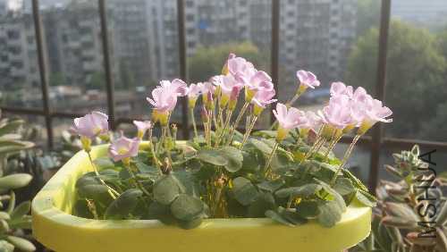20150920_160930.jpg