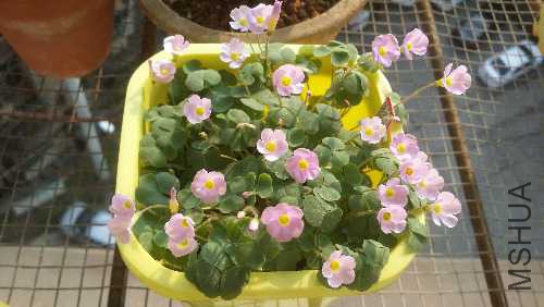 20150920_160907.jpg