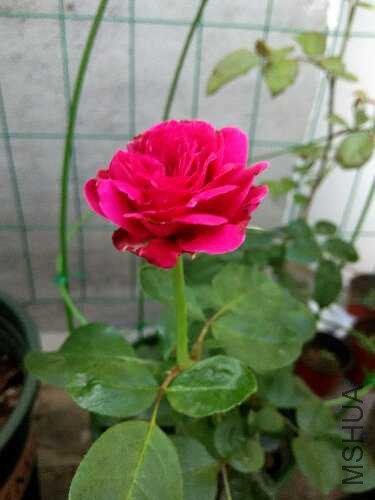 IMG_20151002_155822_HDR.jpg