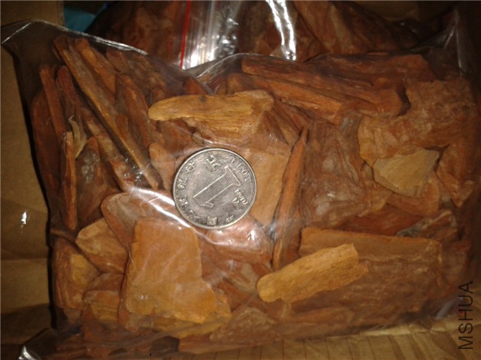 2015-10-05 14.18.11.jpg