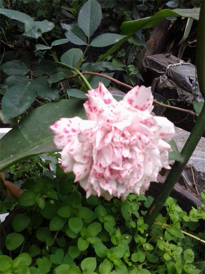 20151004_343.jpg