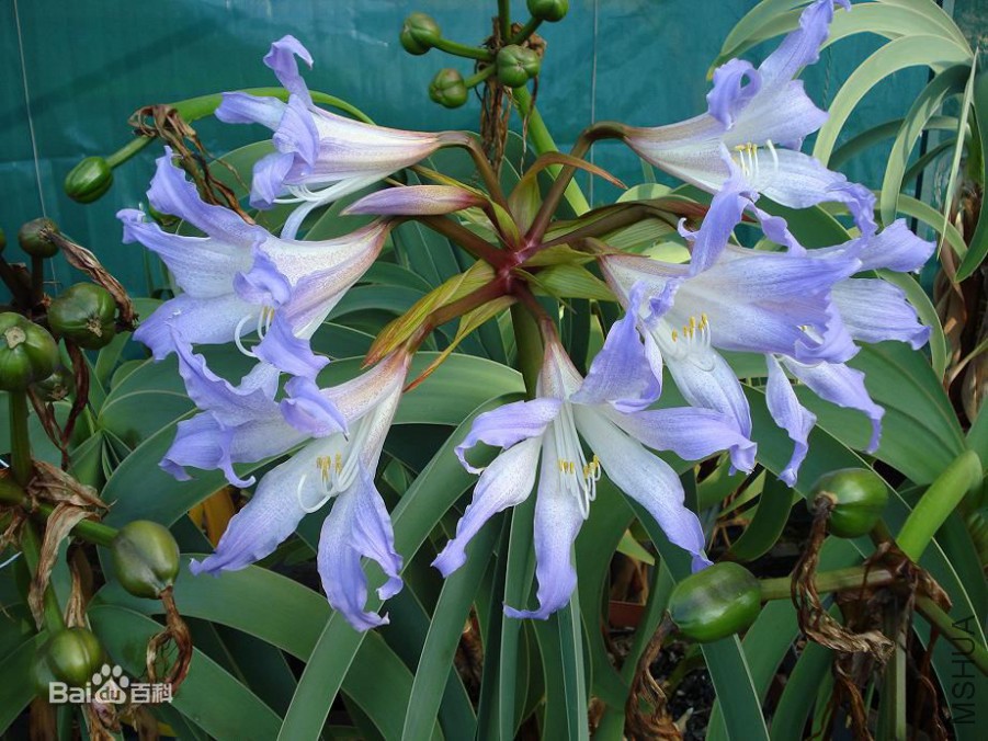 48540923dd54564e45ce1bc6b1de9c82d0584fa2 (1).jpg